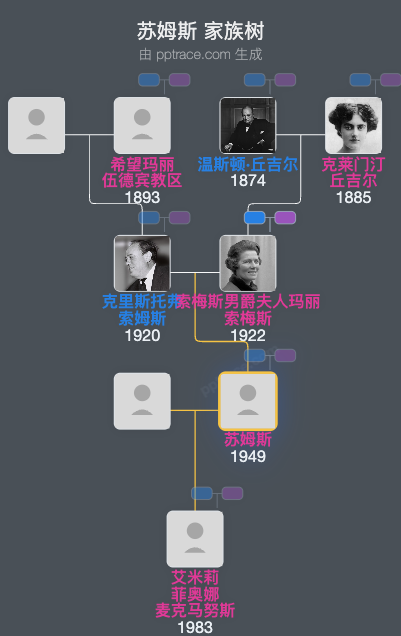 苏姆斯家族树全览