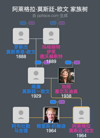 阿莱格拉·莫斯廷-欧文家族树全览