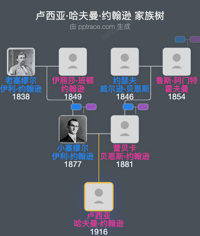 卢西亚·哈夫曼·约翰逊家族树全览