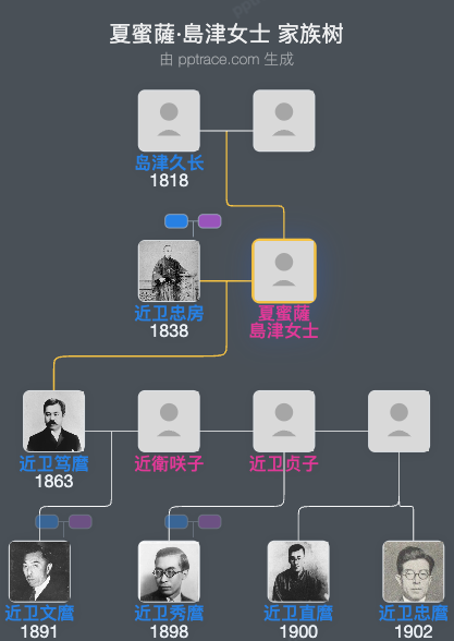 夏蜜薩·島津女士家族树全览