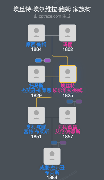 埃丝特·埃尔维拉·鲍姆家族树全览