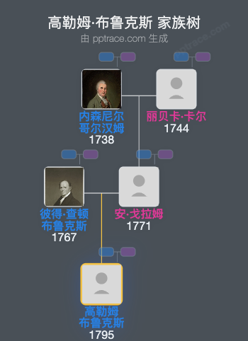 高勒姆·布鲁克斯家族树全览