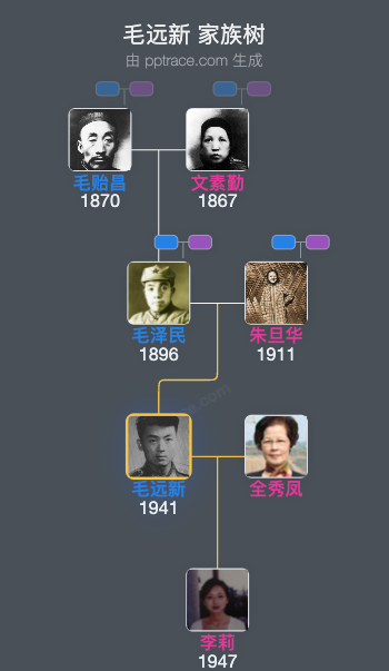 毛远新 家族树全览