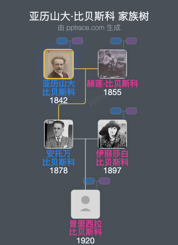 亚历山大·比贝斯科家族树全览