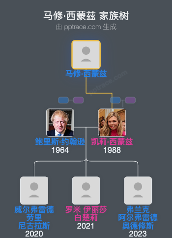 马修·西蒙兹家族树全览