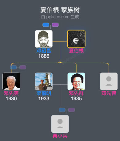 夏伯根 家族树全览