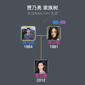 贾乃亮家族树全览