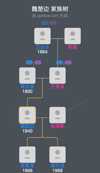 魏楚边 家族树全览