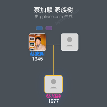 蔡加颖 家族树全览