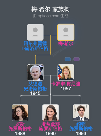 梅·希尔家族树全览