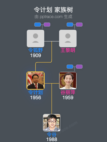 令计划 家族树全览