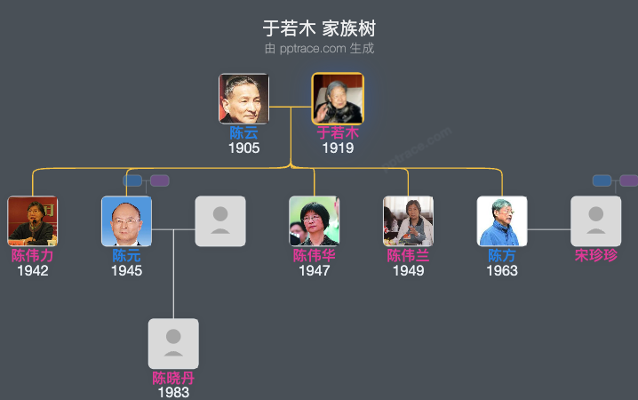 于若木 家族树全览