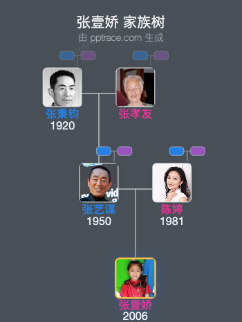 张壹娇 家族树全览