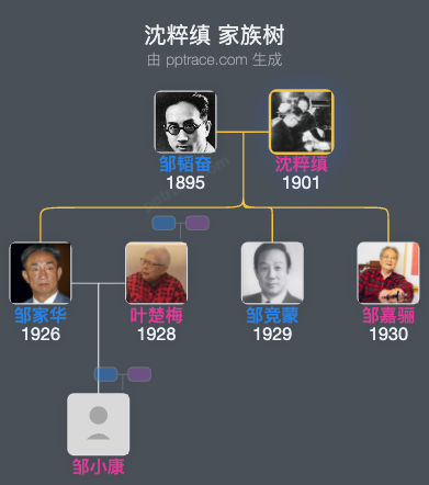 沈粹缜 家族树全览