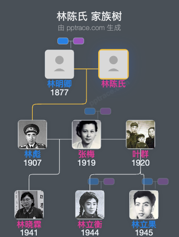 林陈氏 家族树全览