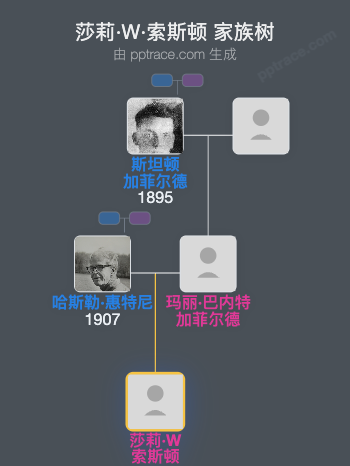 莎莉·W·索斯顿家族树全览