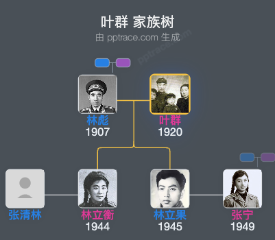 叶群 家族树全览