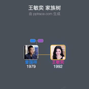 王敏奕 家族树全览