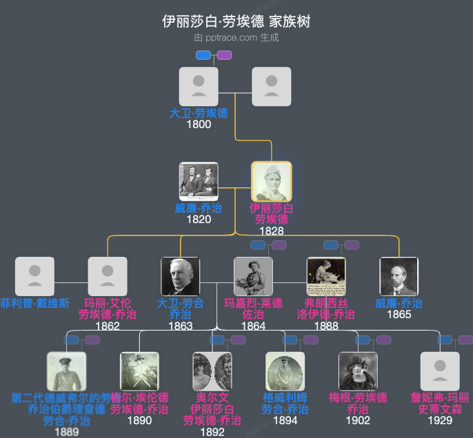 伊丽莎白·劳埃德家族树全览