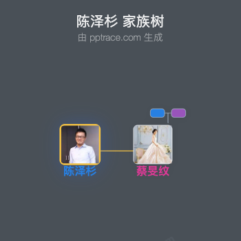陈泽杉 家族树全览