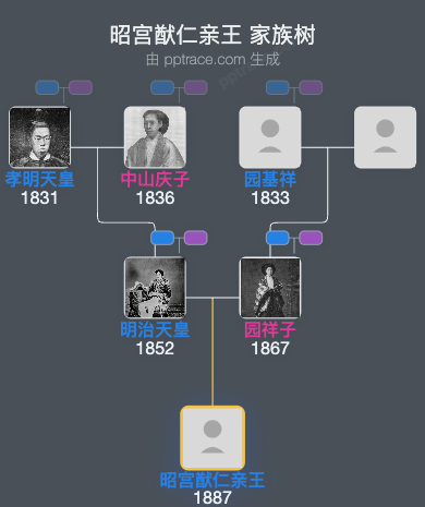 昭宫猷仁亲王家族树全览