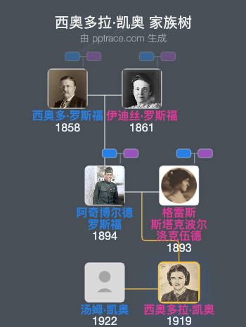 西奥多拉·凯奥家族树全览