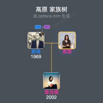 高原 家族树全览