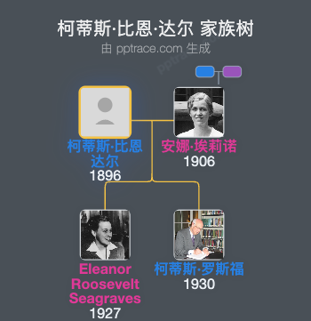 柯蒂斯·比恩·达尔家族树全览