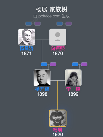 杨展 家族树全览