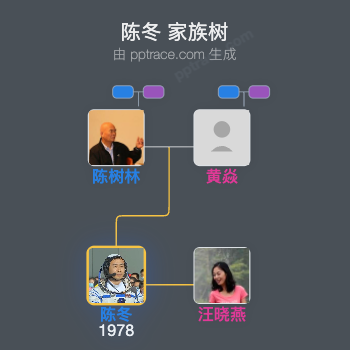 陈冬家族树全览