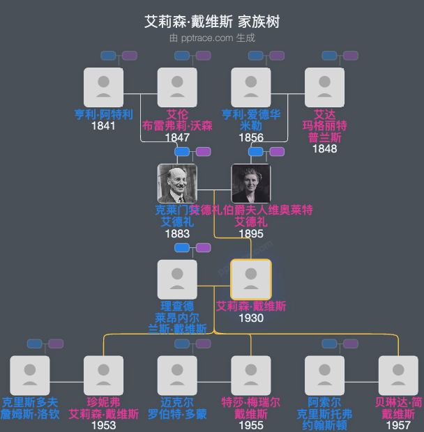 艾莉森·戴维斯家族树全览