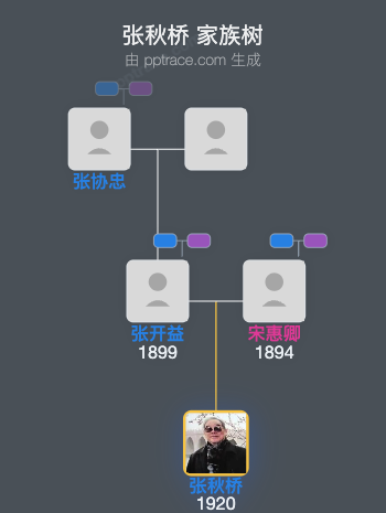 张秋桥 家族树全览