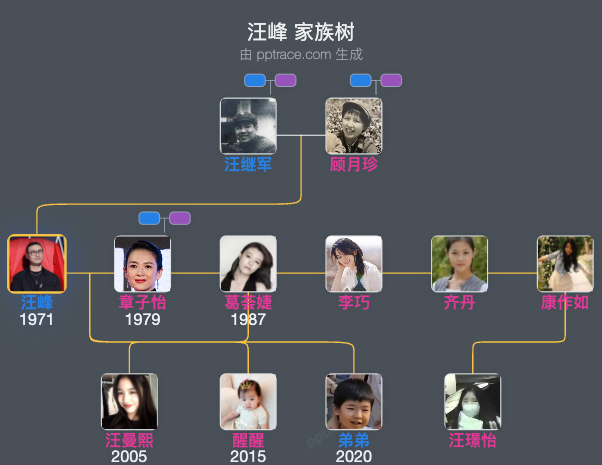 汪峰 家族树全览