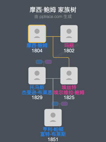 摩西·鲍姆家族树全览