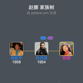 赵娜 家族树全览