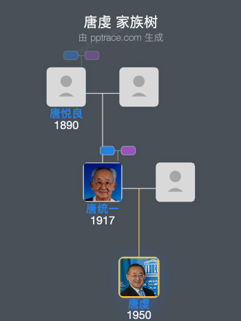 唐虔 家族树全览