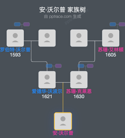 安·沃尔普家族树全览