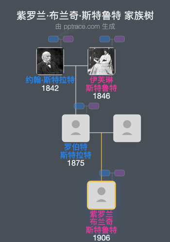紫罗兰·布兰奇·斯特鲁特家族树全览