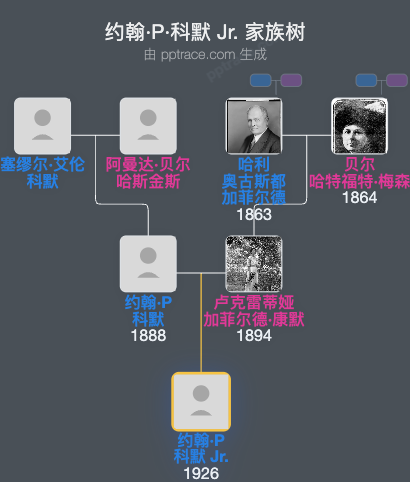 约翰·P·科默 Jr.家族树全览