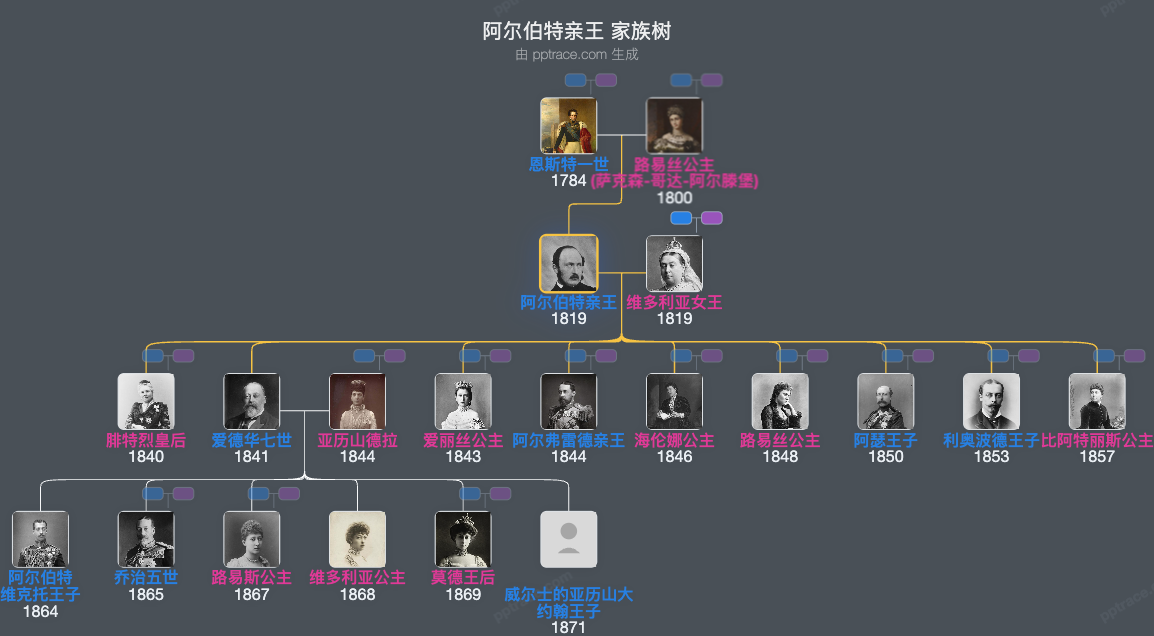 阿尔伯特亲王 家族树全览