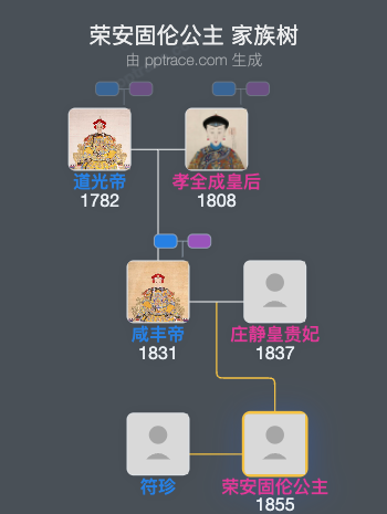 荣安固伦公主家族树全览