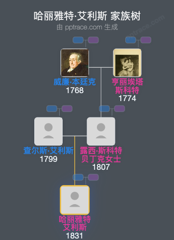 哈丽雅特·艾利斯家族树全览