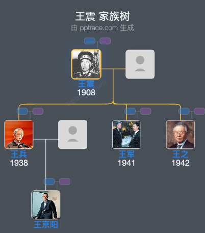 王震 家族树全览