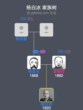 杨白冰 家族树全览