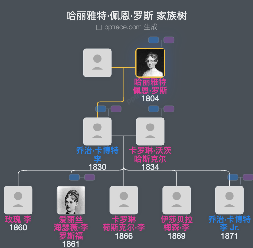 哈丽雅特·佩恩·罗斯家族树全览