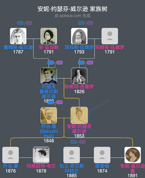 安妮·约瑟芬·威尔逊家族树全览