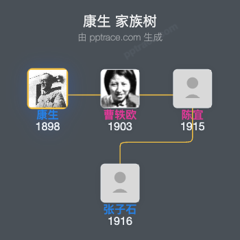 康生 家族树全览