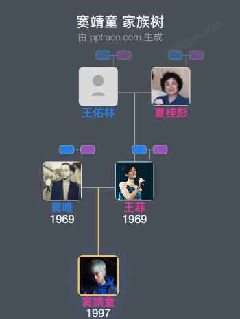 窦靖童 家族树全览