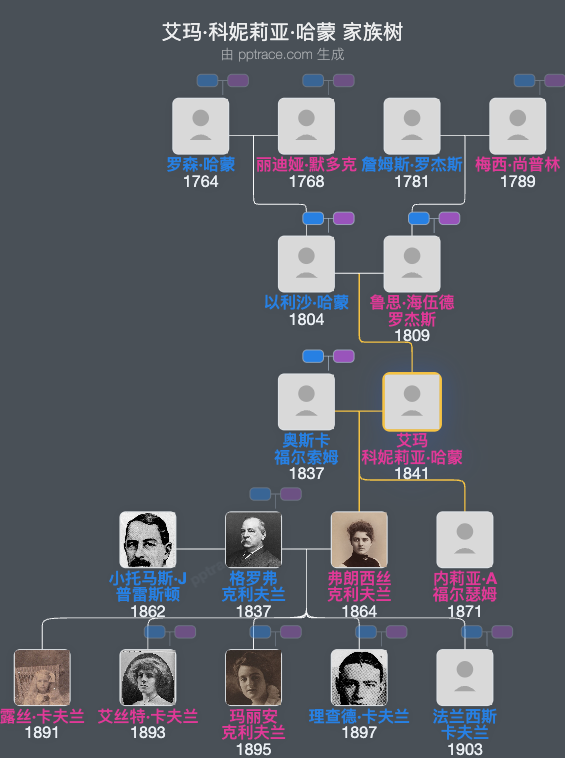 艾玛·科妮莉亚·哈蒙家族树全览