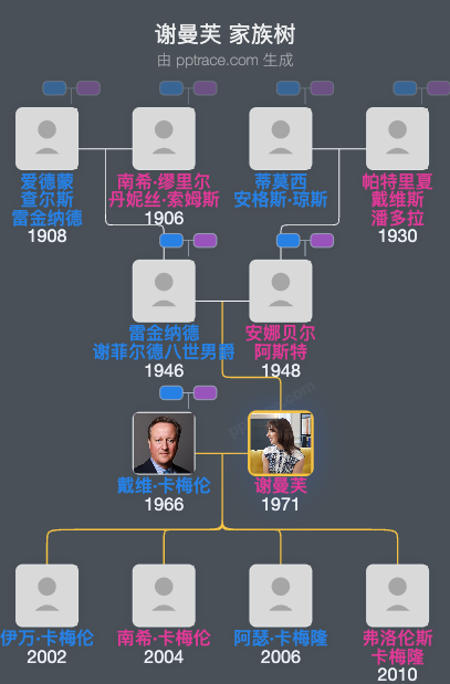 谢曼芙家族树全览